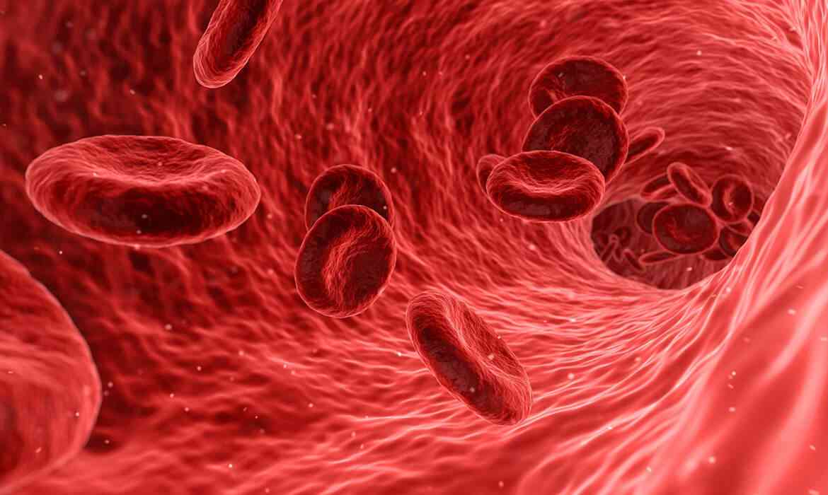 Αίμα: Ποιο είναι το μοναδικό σημείο στο σώμα μας που δεν περνάει
