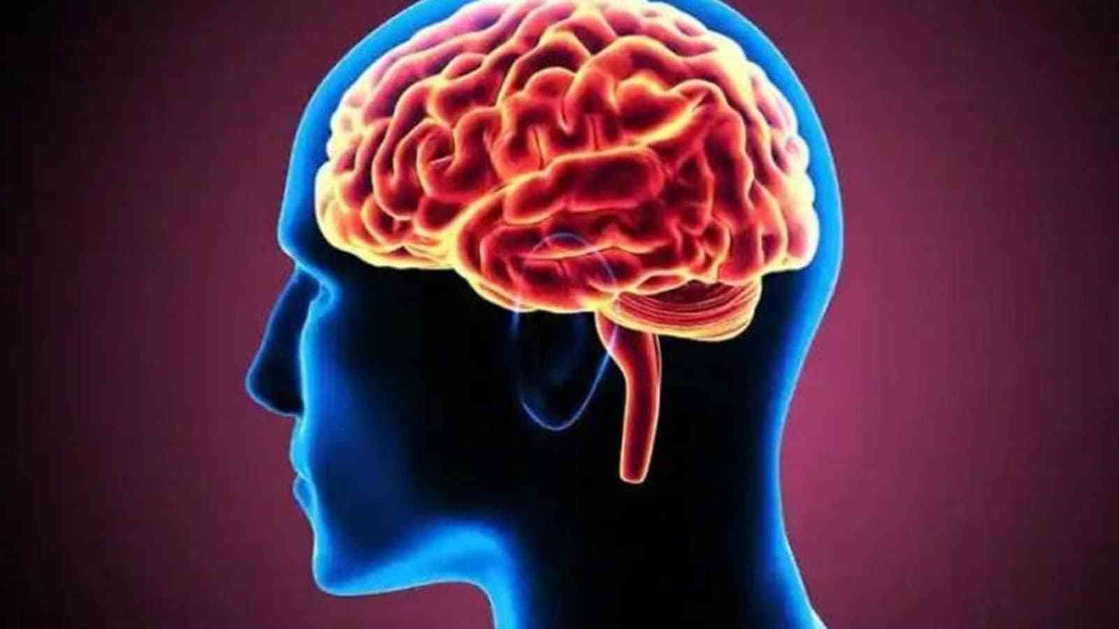 Εγκέφαλος: Τα οφέλη από το μεσημεριανό ύπνο
