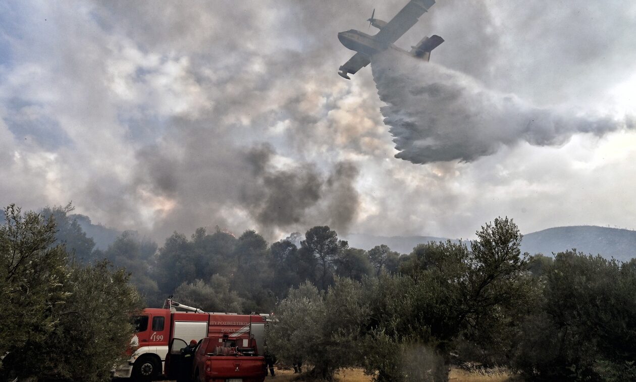 Φωτιά στη Λάρισα: Επιχειρούν επίγειες και εναέριες δυνάμεις