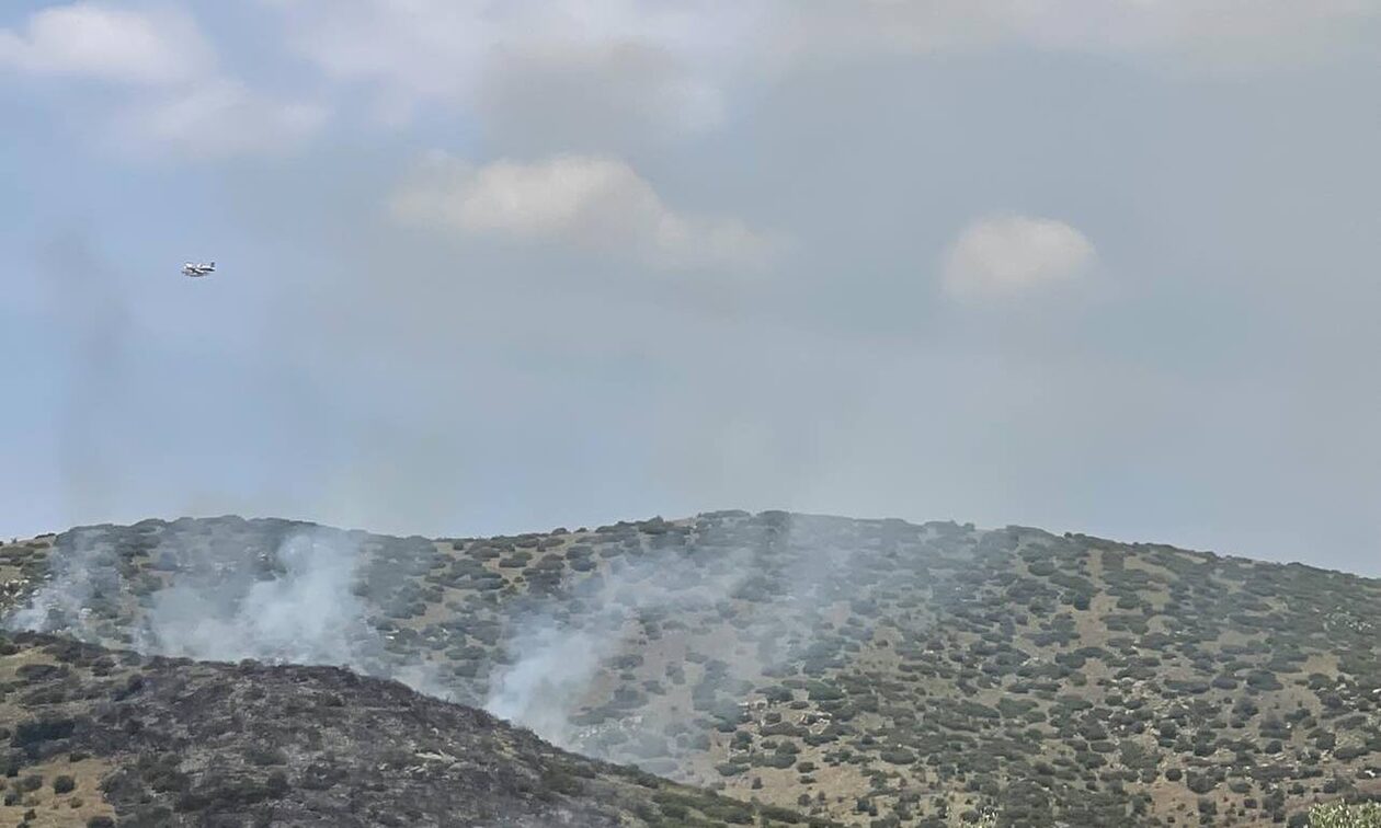 Φωτιά στη Λάρισα: Ενισχύθηκαν οι δυνάμεις της Πυροσβεστικής