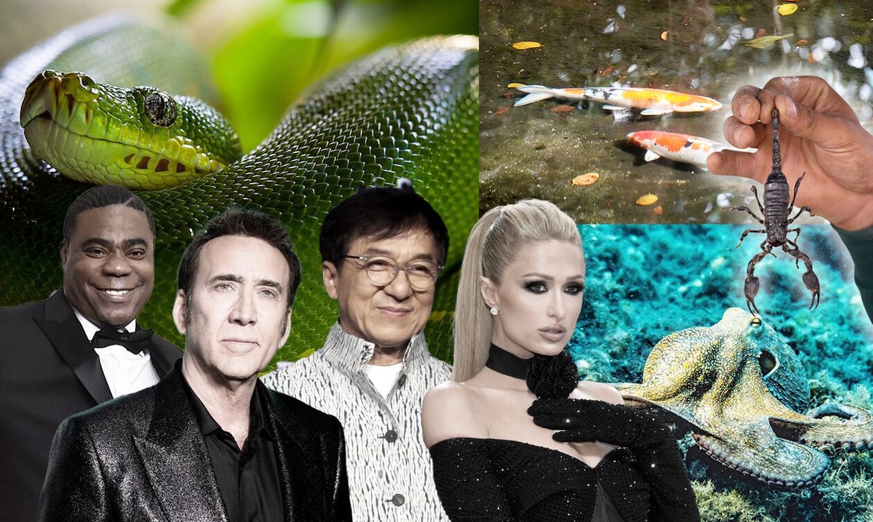 Celebrities με τα πιο παράξενα κατοικίδια – Χταπόδια, γατόψαρα και τίγρεις για ζώα συντροφιάς