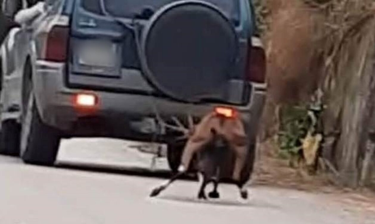 Ζάκυνθος: 63χρονος έσερνε κατσίκα με το αυτοκίνητό του – Πρόστιμο 30.000 για κακοποίηση ζώου