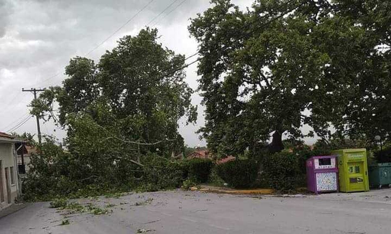 Κακοκαιρία στο Βελβεντό: Πτώσεις δέντρων στην εθνική οδό – Χωρίς ρεύμα η πόλη