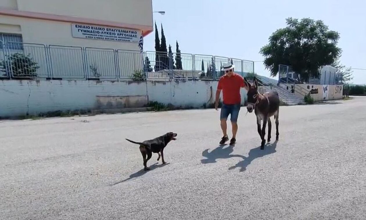 Ναύπλιο: Πήγε να ψηφίσει με το… γαϊδουράκι του
