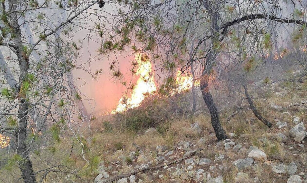 Πυρκαγιά στους Άγιους Θεοδώρους Κορινθίας