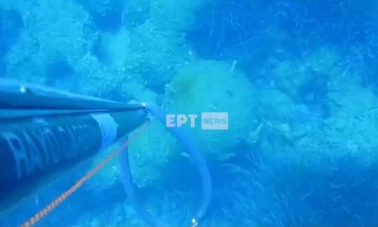 Κεφαλονιά: Ψαροντουφεκάς πήγαινε για ψάρια και τελικά έπιασε… νάρκη από το Β’ Παγκόσμιο Πόλεμο