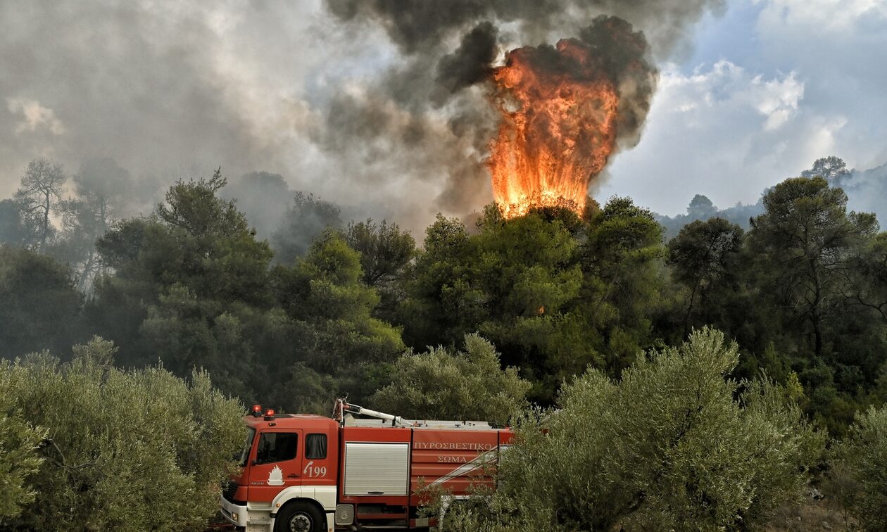 Φωτιά στο Πήλιο: Υπό μερικό έλεγχο η κατάσταση – Συνεχίζεται η κατάσβεση