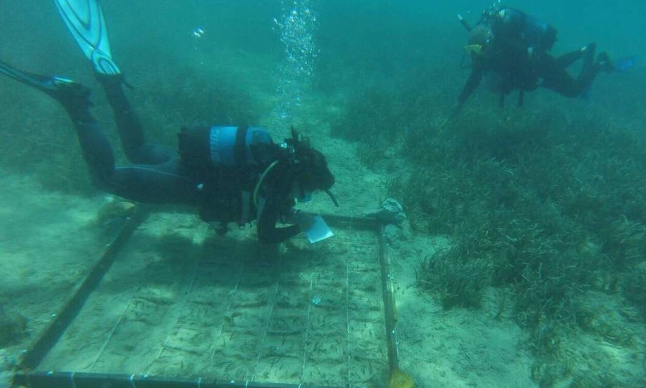 Παγκόσμια πρωτορία στους Λειψούς: Φυτεύουν υποβρύχιους κήπους Ποσειδωνίας