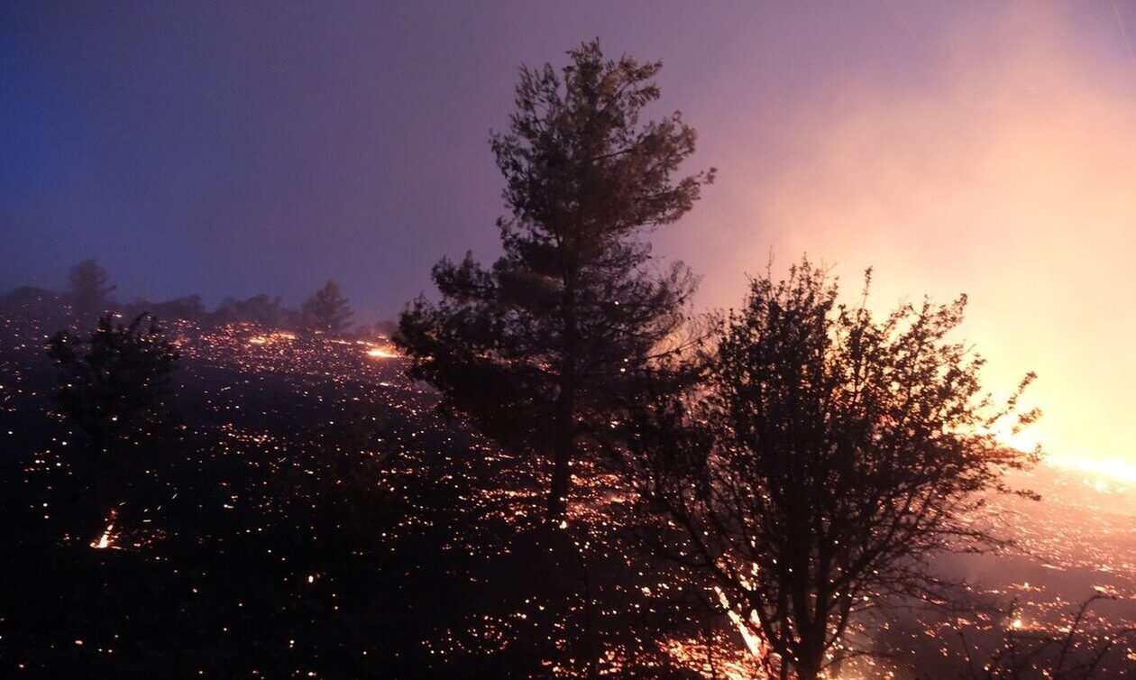 Υπό πλήρη έλεγχο η φωτιά στη Μυτιλήνη