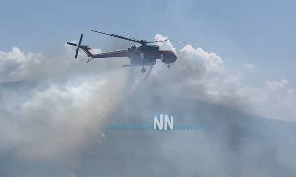 Ναύπακτος: Οριοθετήθηκε η φωτιά στον Πλατανίτη
