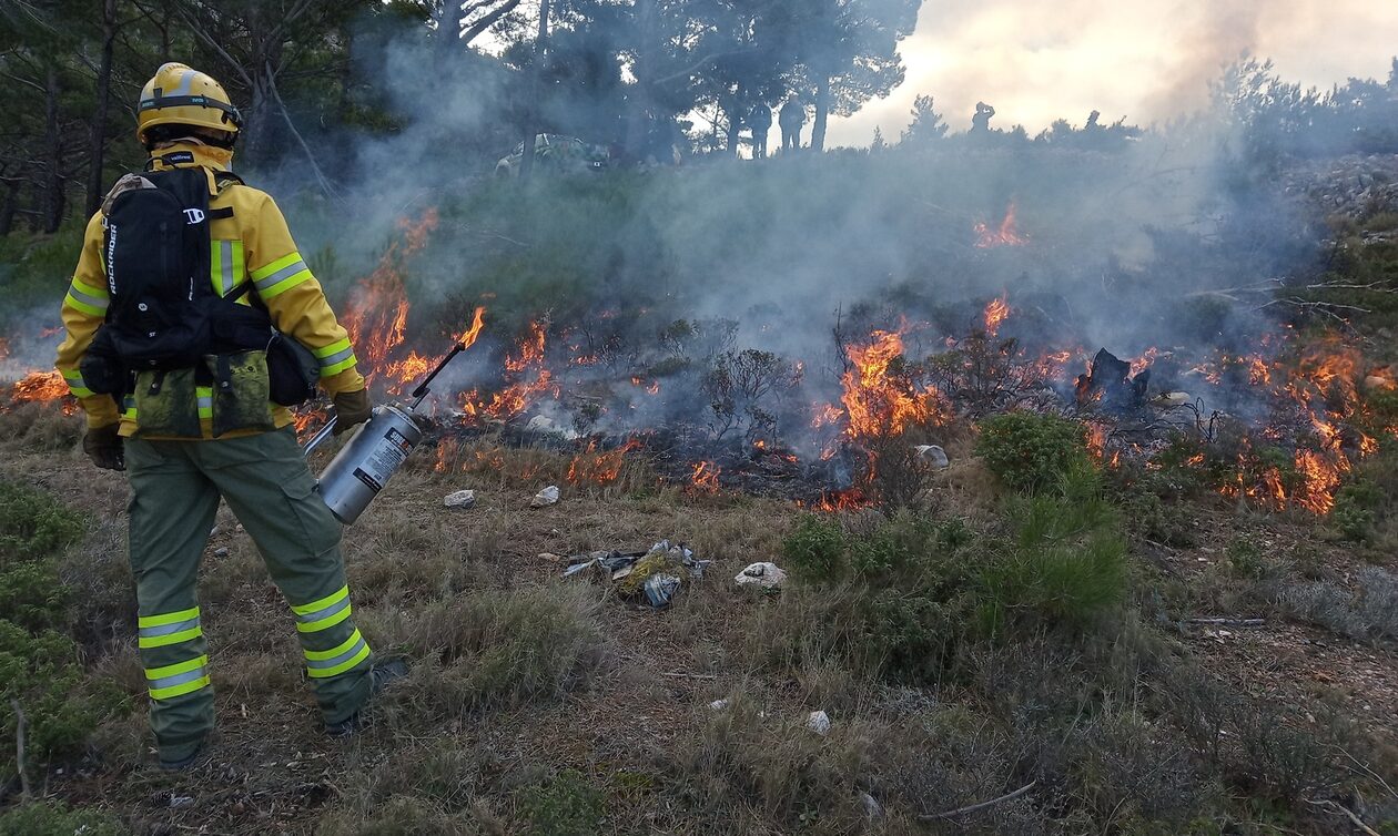 WWF: Η προδιαγεγραμμένη καύση, «εργαλείο» πρόληψης στις δασικές πυρκαγιές