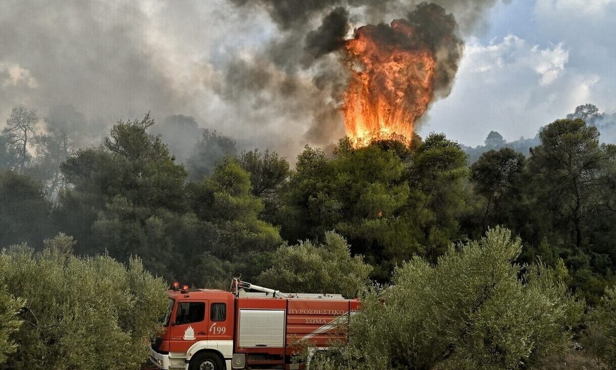 Φωτιά στον Ωρωπό: Ενισχύονται οι δυνάμεις – Έκλεισαν δρόμοι