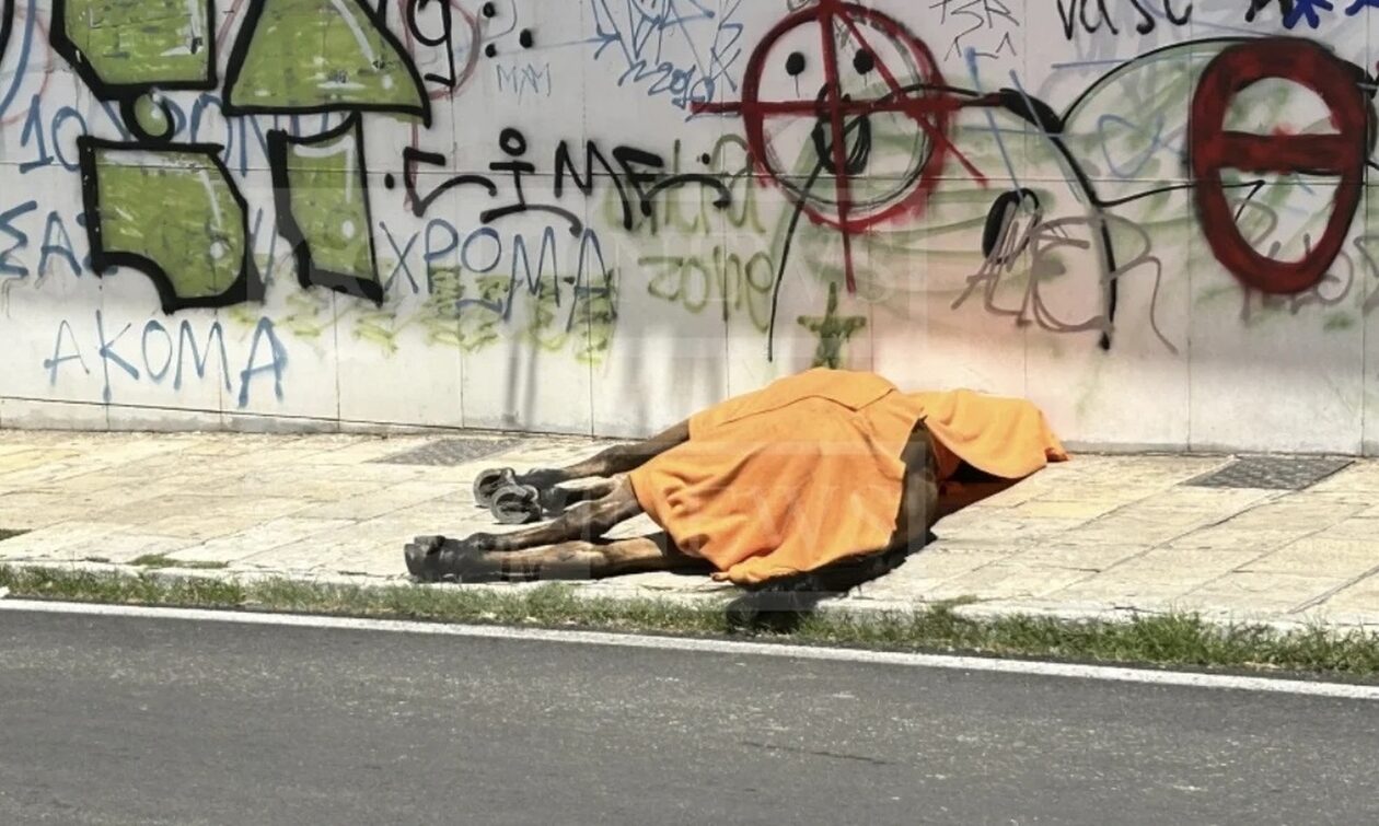 Κέρκυρα: Μακάβριο θέαμα στο κέντρο της πόλης – Άλογο έπεσε νεκρό την ώρα που έσερνε άμαξα