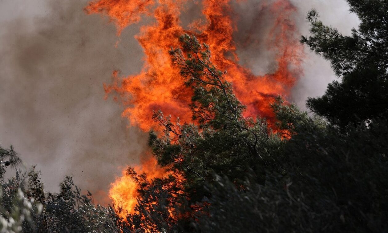 Οριοθετήθηκε η φωτιά στην Πάρο