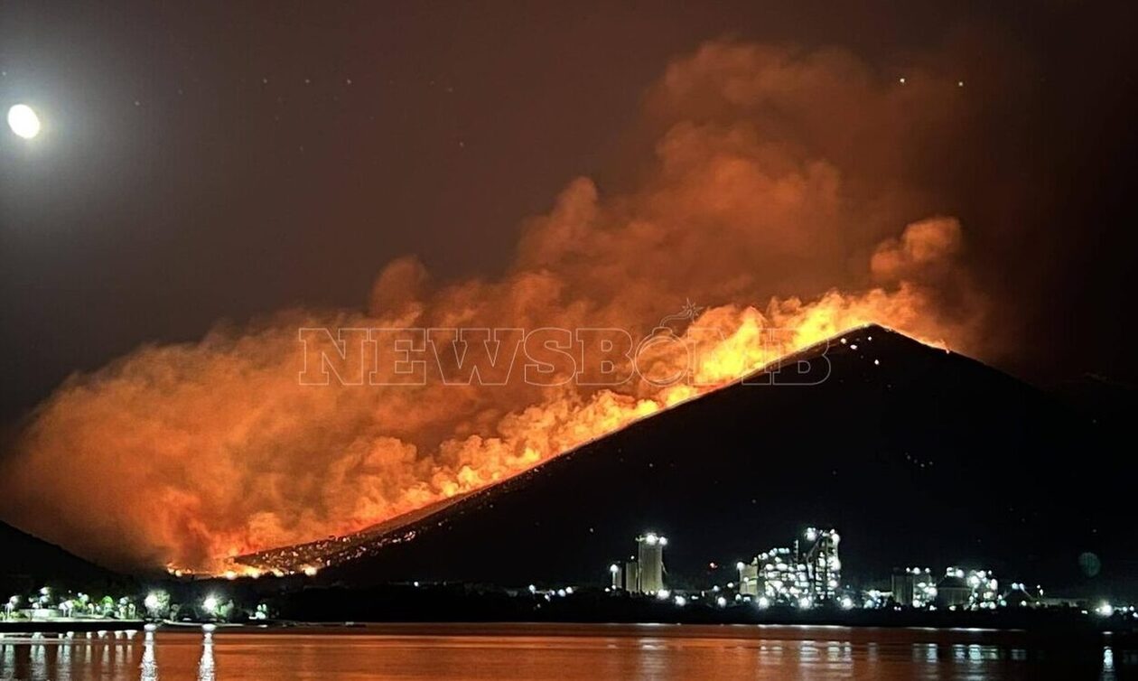 Εύβοια: Αφέθηκε ελεύθερος ο μελισσοκόμος που είχε συλλήφθει ως υπαίτιος για τη φωτιά στο Αλιβέρι