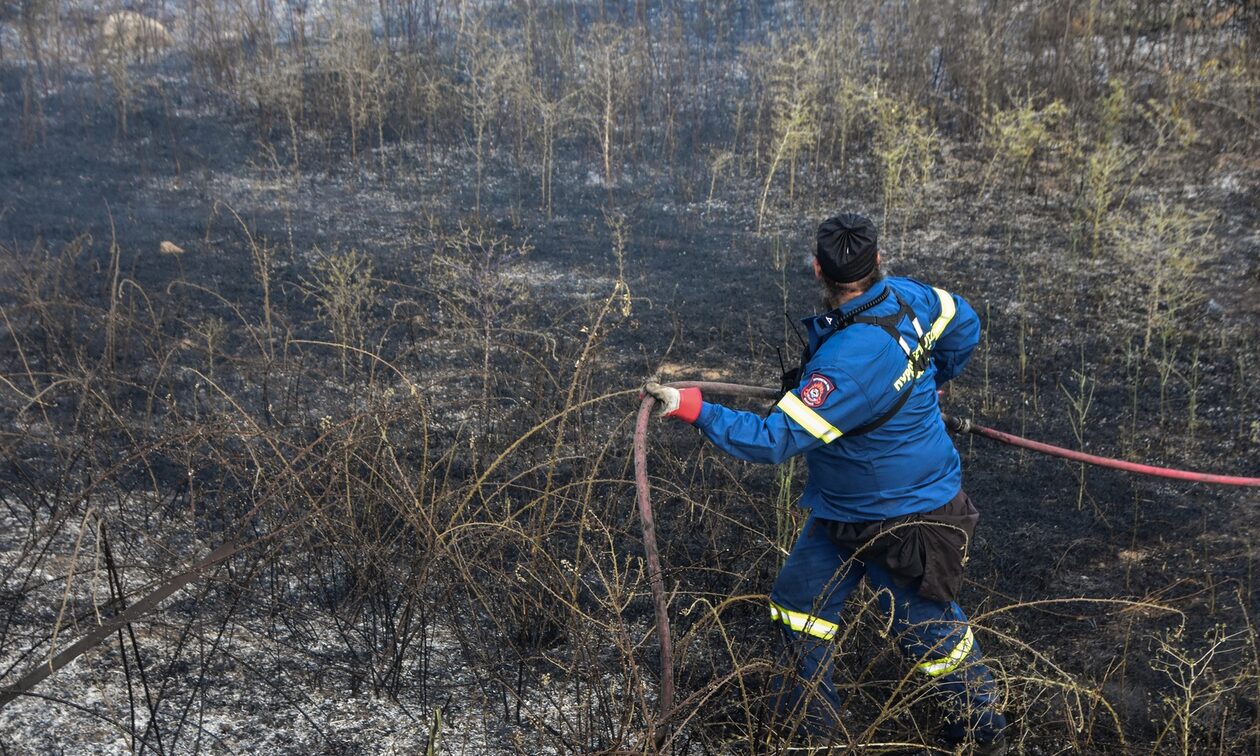Φωτιά στο Μαρκόπουλο: Άμεση οριοθέτηση από ισχυρές δυνάμεις της Πυροσβεστικής