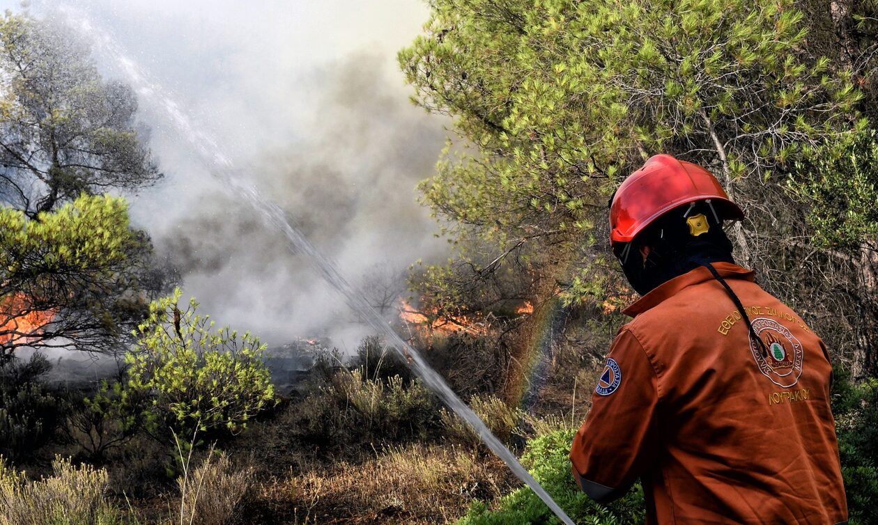 Φωτιά τώρα στο Λασίθι: Κινητοποιήθηκαν επίγειες και εναέριες δυνάμεις