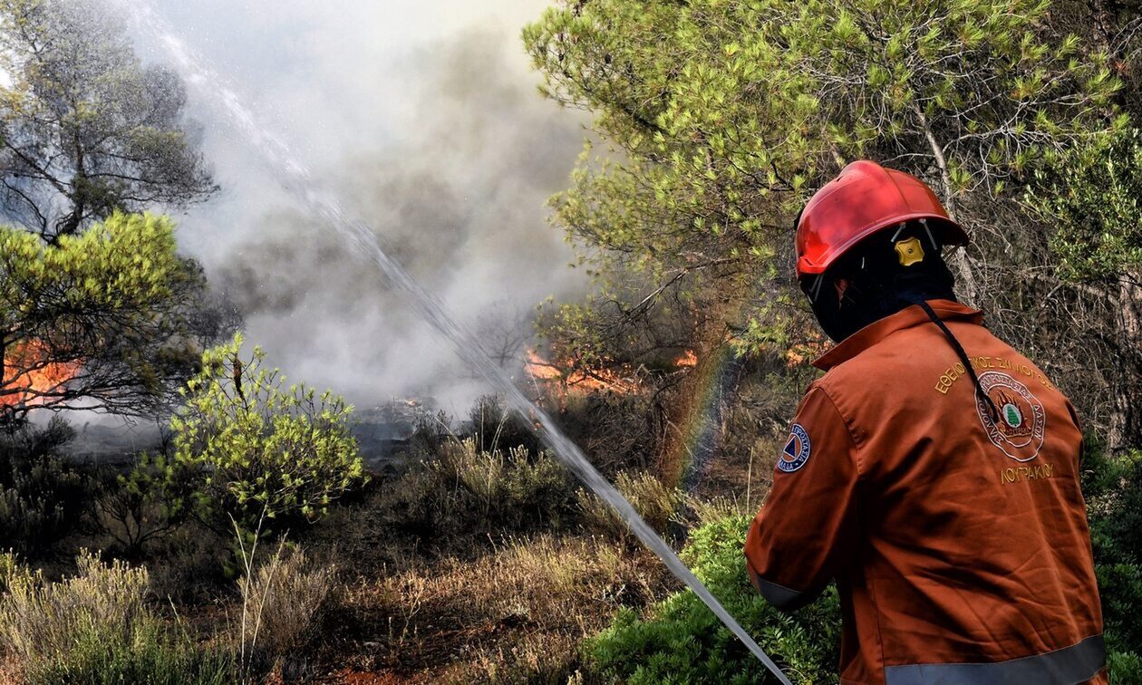 Πυρκαγιά στον Ξυρόκαμπο Σητείας