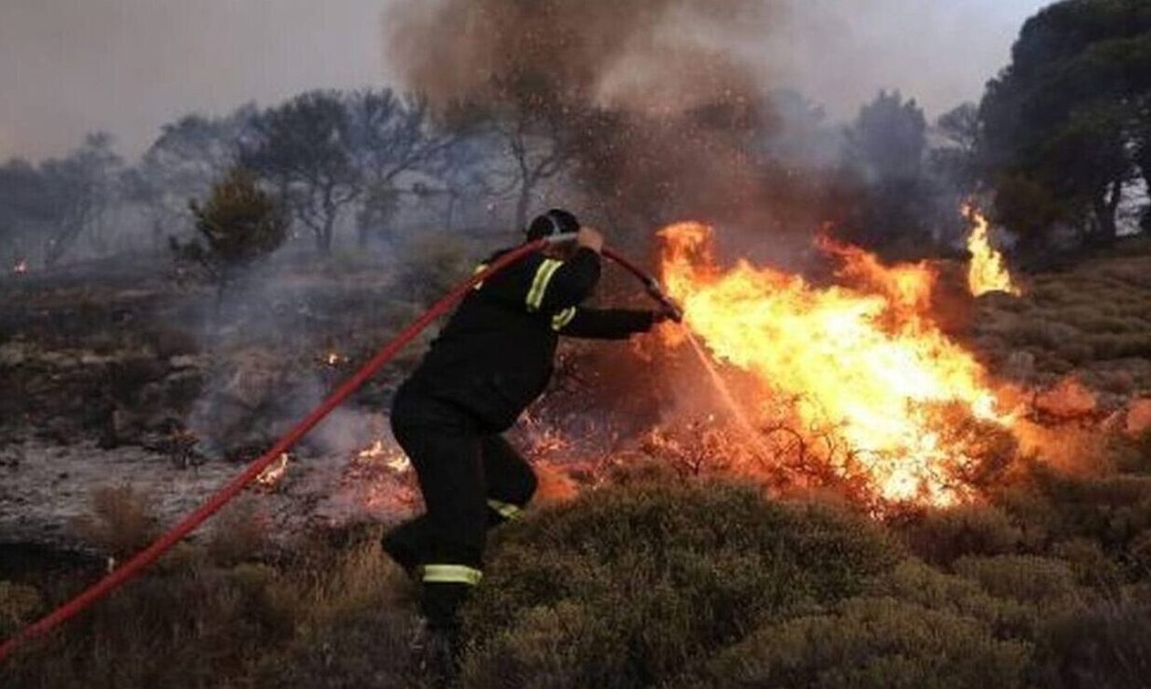 Υψηλός κίνδυνος πυρκαγιάς για αύριο, Παρασκευή – Αναλυτικά ο χάρτης