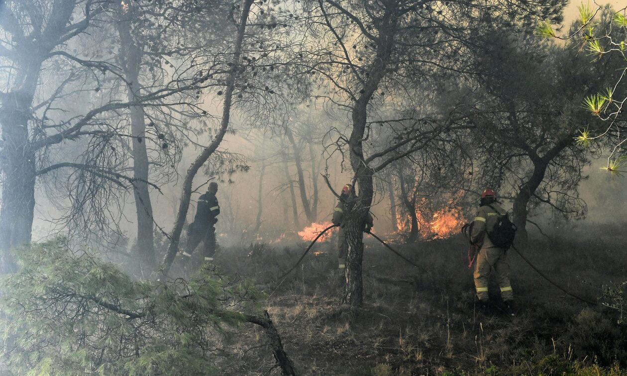 Φωτιά: Υψηλός κίνδυνος πυρκαγιάς την Παρασκευή 14 Ιουλίου – Αναλυτικός χάρτης