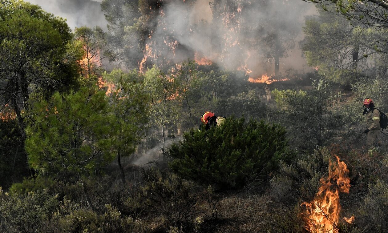 Φωτιά στη Λάρισα – Μεγάλη κινητοποίηση της Πυροσβεστικής