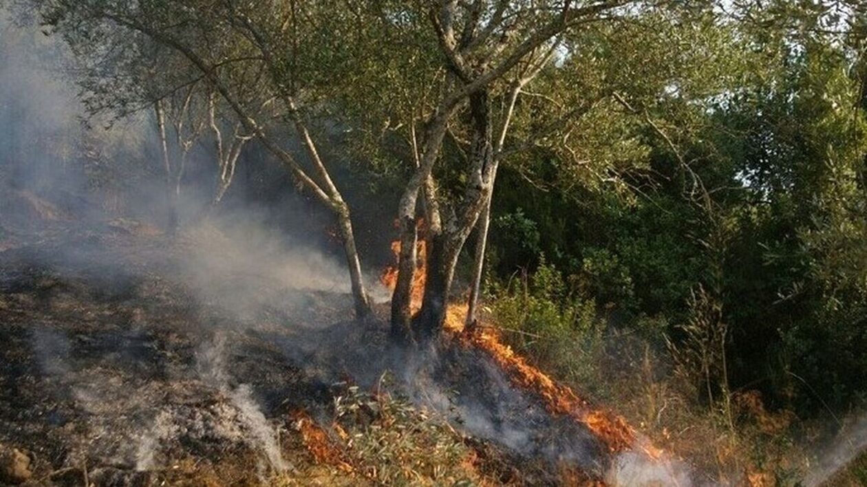 Αυτές είναι οι περιοχές όπου υπάρχει υψηλός κίνδυνος πυρκαγιάς το Σάββατο
