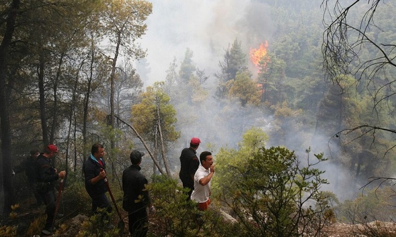 Απαγόρευση κυκλοφορίας σε δασικές περιοχές της Χαλκιδικής