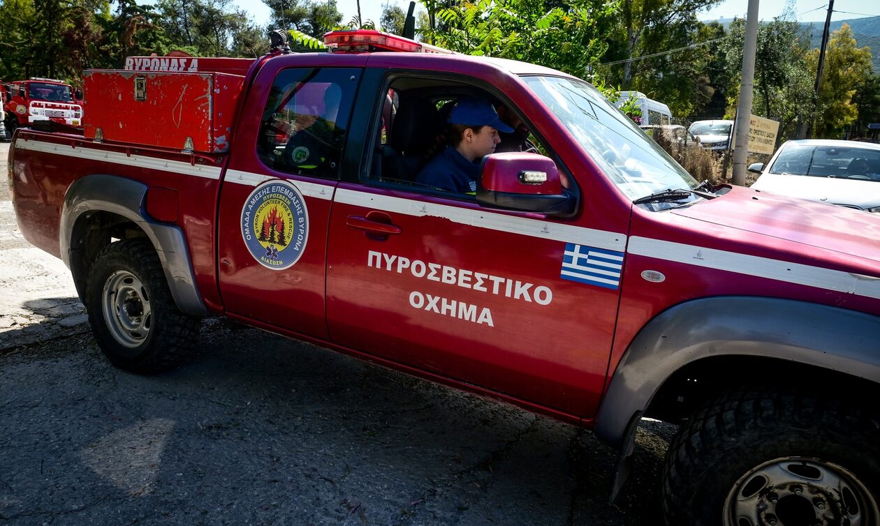 Φωτιά στη Βοιωτία: Οριοθετήθηκε η πυρκαγιά μετά από ολονύχτια «μάχη» – Ισχυρές δυνάμεις στο σημείο