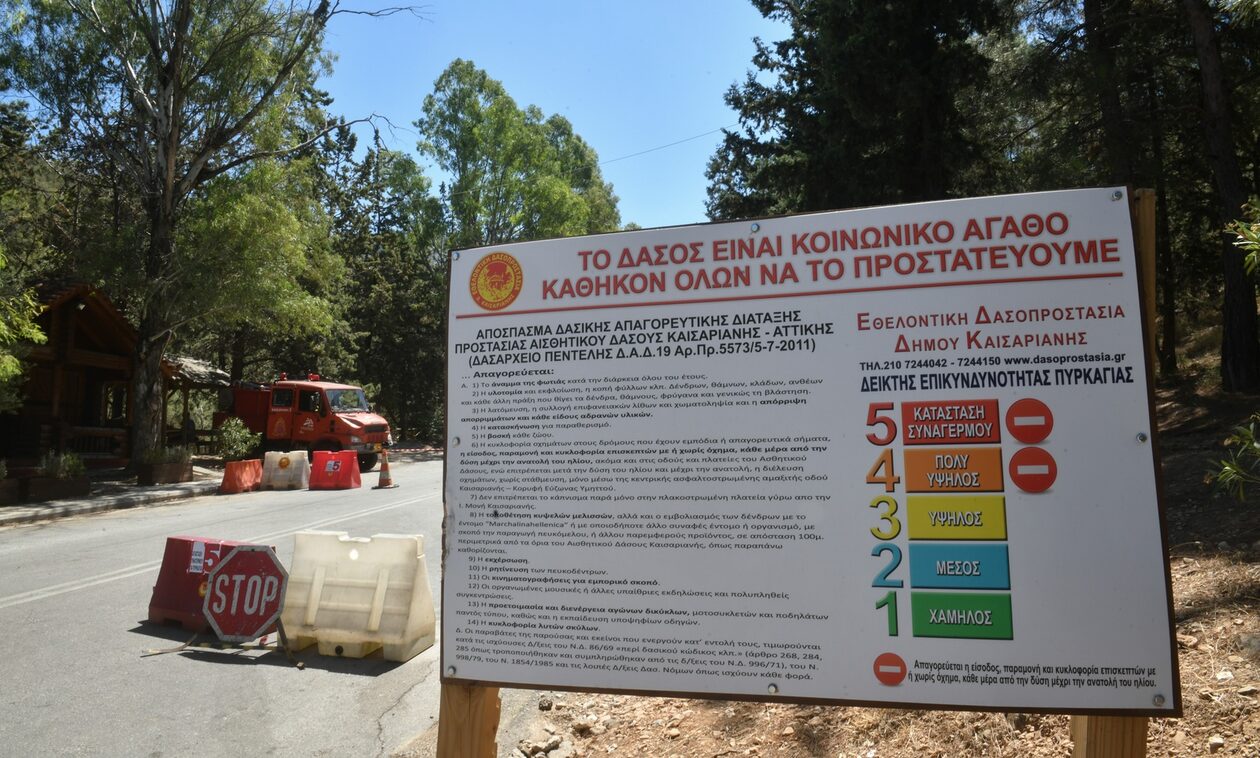 Πολιτική Προστασία: Ισχυροί άνεμοι και πολύ υψηλός κίνδυνος πυρκαγιάς – Οδηγίες προς του πολίτες