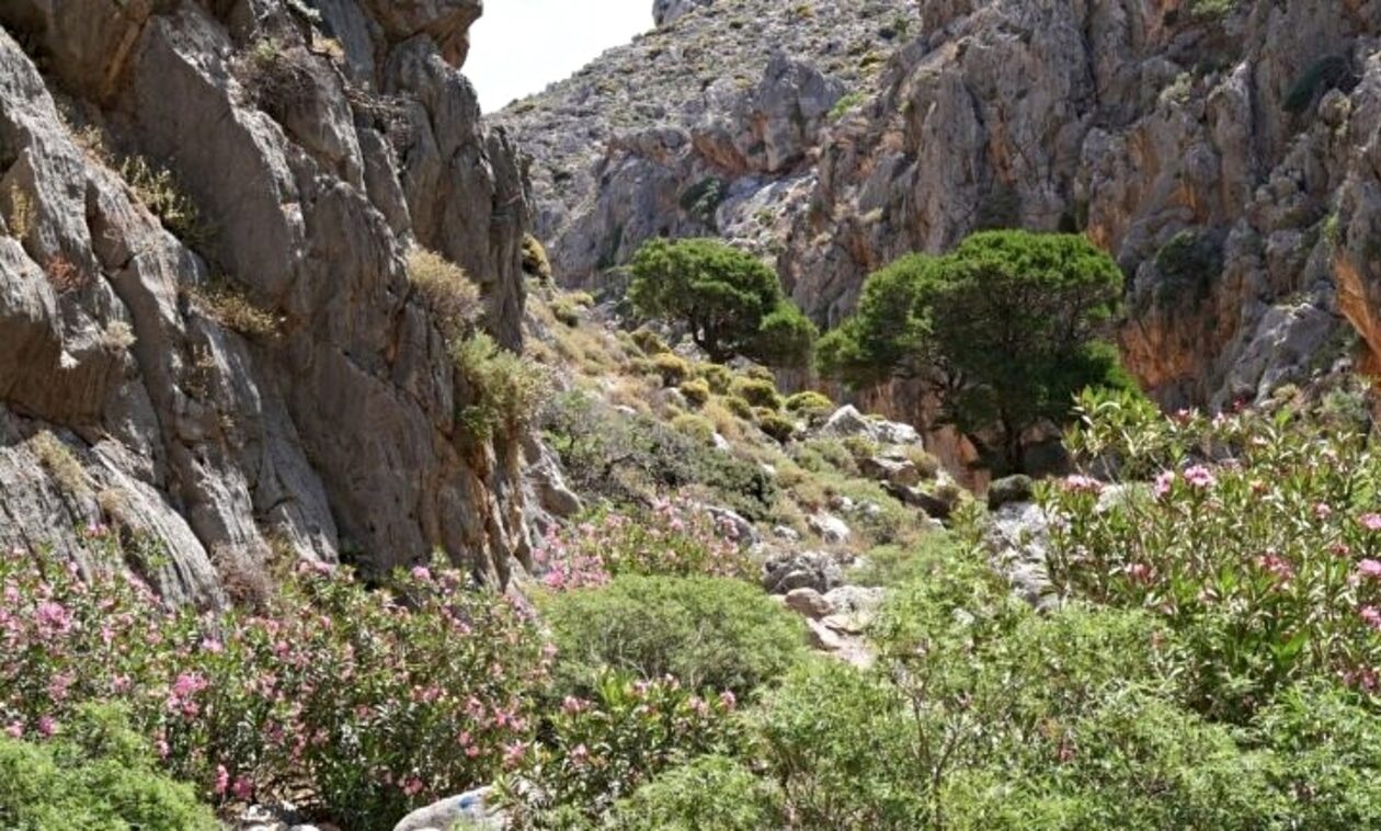 Σητεία: Βρέθηκε η σορός του Ιταλού τουρίστα που εξαφανίσθηκε στο φαράγγι Χοχλακιών