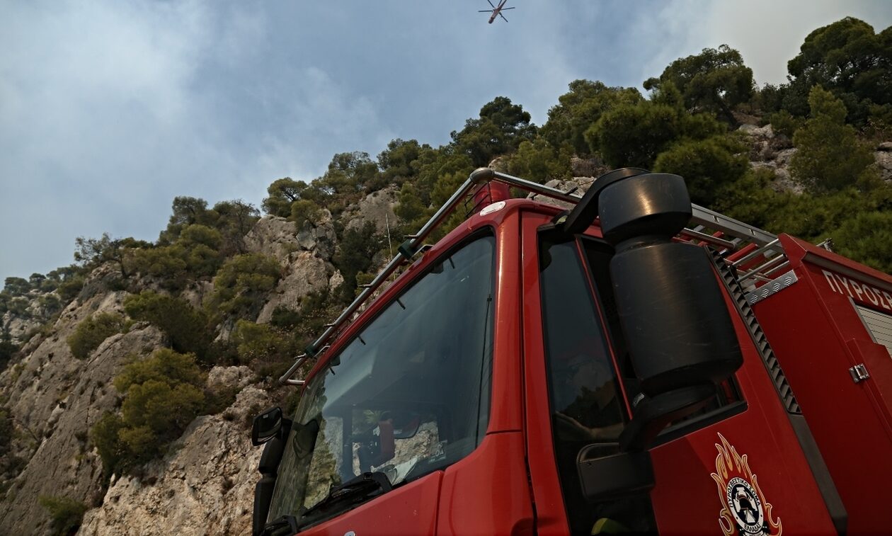 Φωτιά τώρα και στο Καπαρέλλι Βοιωτίας – Βίντεο