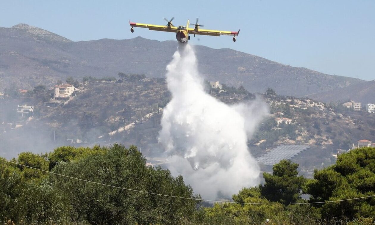 Πύρινο μέτωπο 15 χλμ στα Δερβενοχώρια – Οι φλόγες απειλούν κτηνοτροφική μονάδα