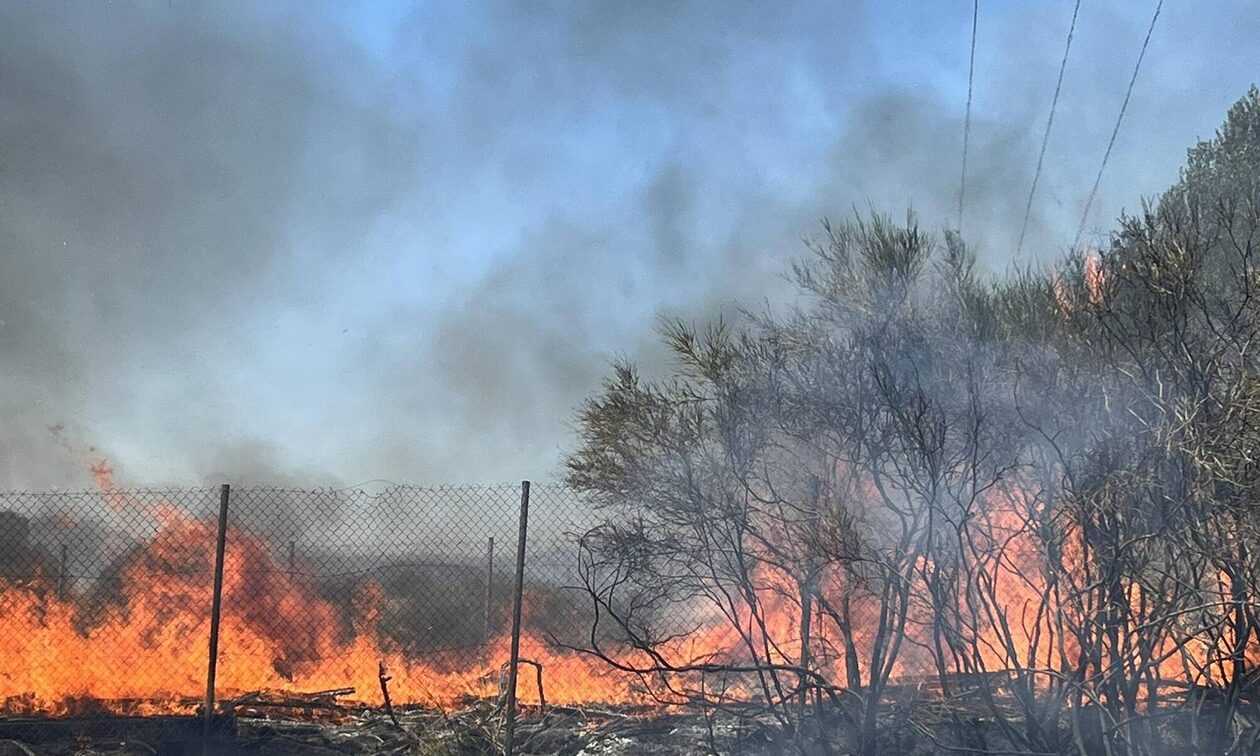 Τελευταία εικόνα για Δερβενοχώρια: Μεγάλη και κρίσιμη, κατευθύνεται προς την Οινόη και τη Μαγούλα
