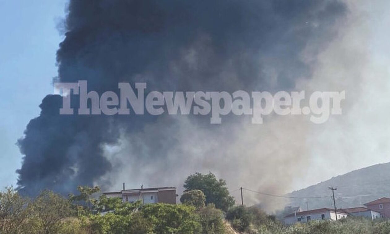 Βόλος: Απειλεί σπίτια η φωτιά στο Σέσκλο – Συναγερμός για να σωθούν περιουσίες