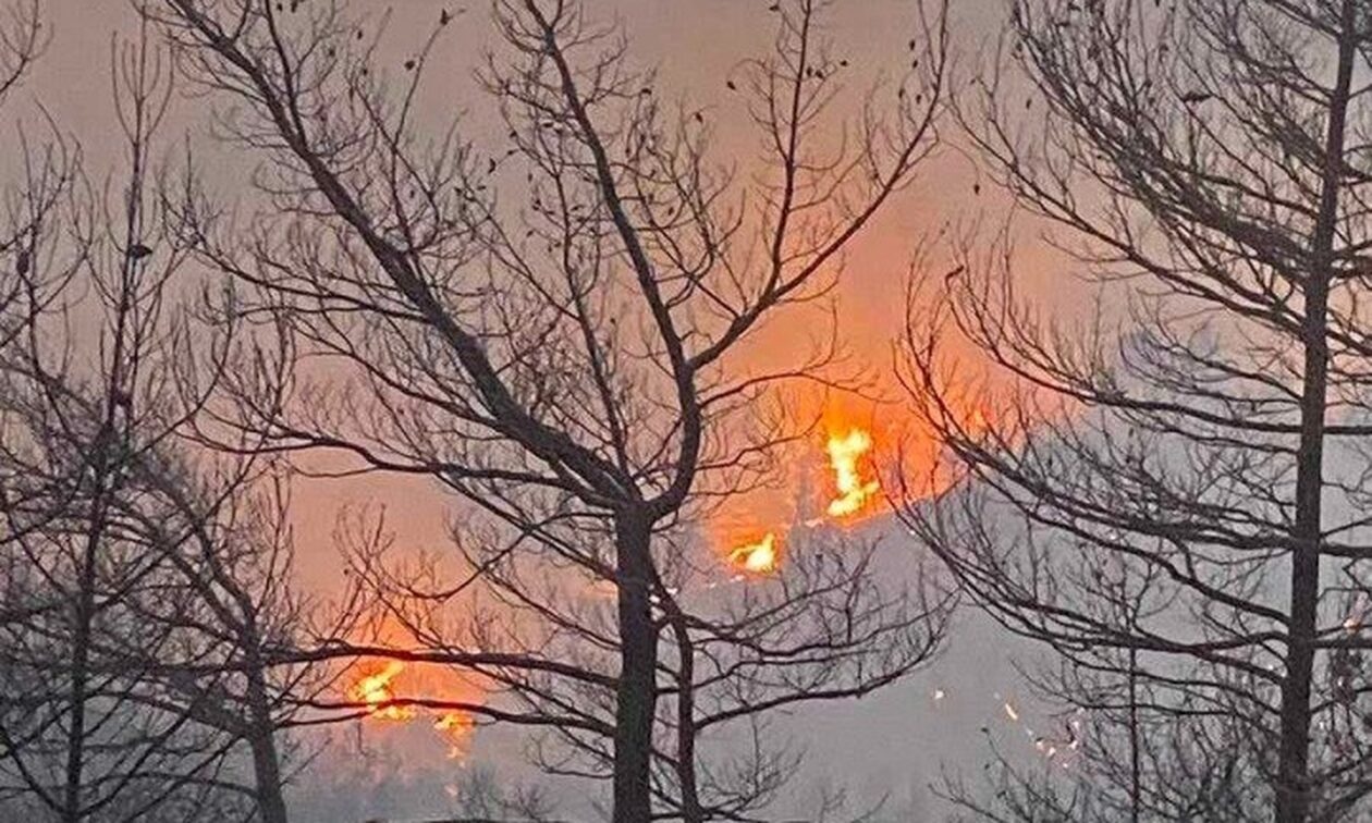 Φωτιά στη Ρόδο: Στις φλόγες πυκνό δάσος με πεύκα και κυπαρίσσια – Συνεχίζεται η μάχη με τις φλόγες