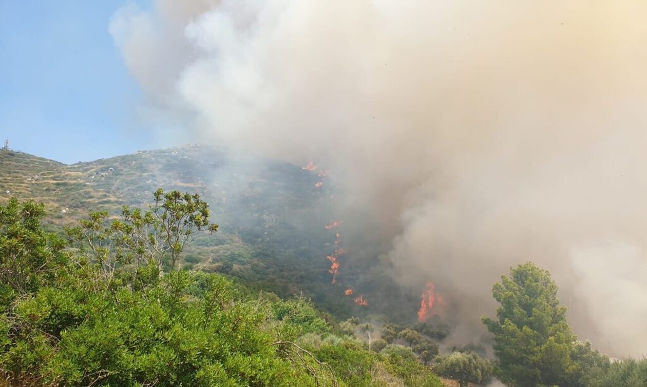 Μεσσηνία: Φωτιά τώρα στην Υάμεια