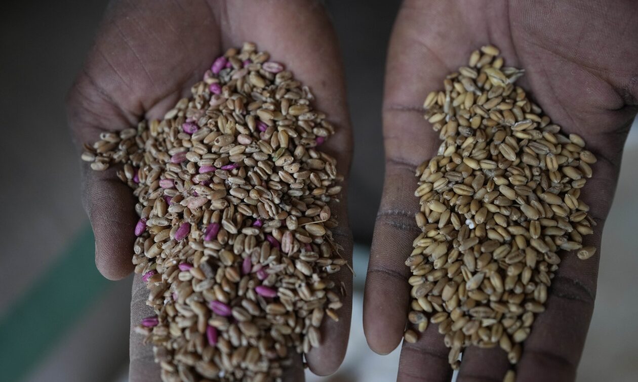 Ουκρανία: Στα ύψη οι τιμές σιτηρών μετά την κατάρρευση του «ντιλ» – Έρχεται νέα επισιτιστική κρίση ;