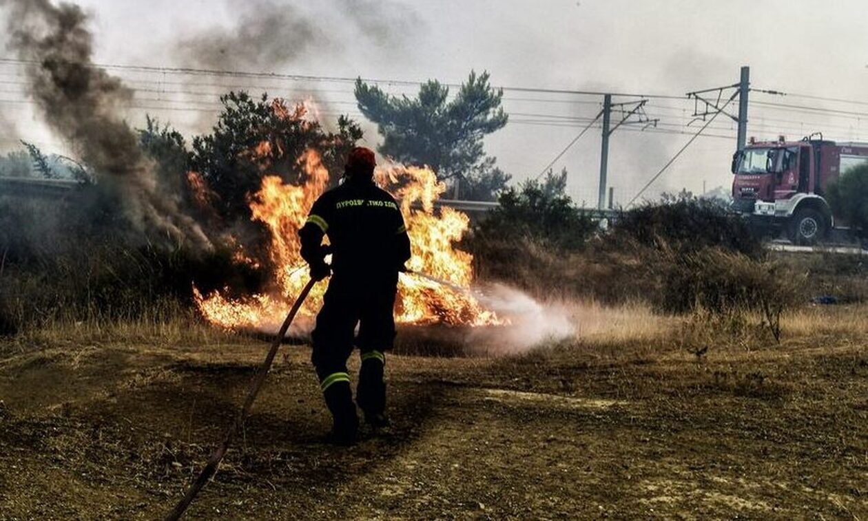 Το Πλαίσιο διαθέτει γεύματα και νερά για τους πυροσβέστες στην Μάνδρα