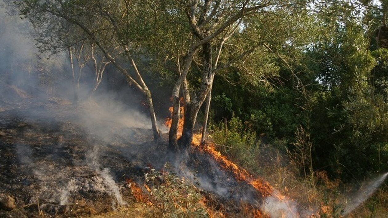 Φωτιά τώρα στη Θεσσαλονίκη – Κινητοποίηση της Πυροσβεστικής