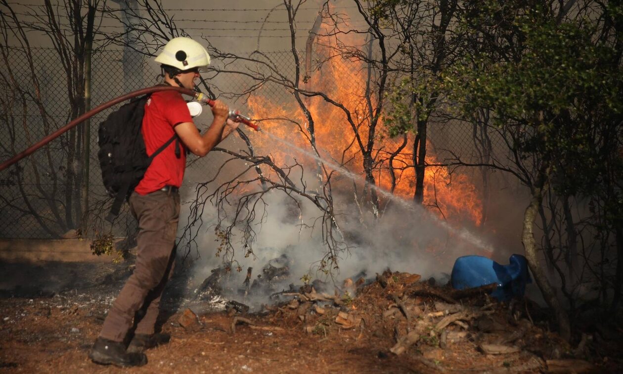 Πυροσβεστική: Αναζωπυρώσεις σε Δυτική Αττική, Ρόδο και Λακωνία – 52 νέες πυρκαγιές