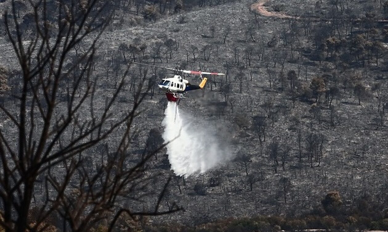 Φωτιές: Πολύ υψηλός κίνδυνος σε 7 περιφέρειες – Ο χάρτης και οι οδηγίες από την Πολιτική Προστασία