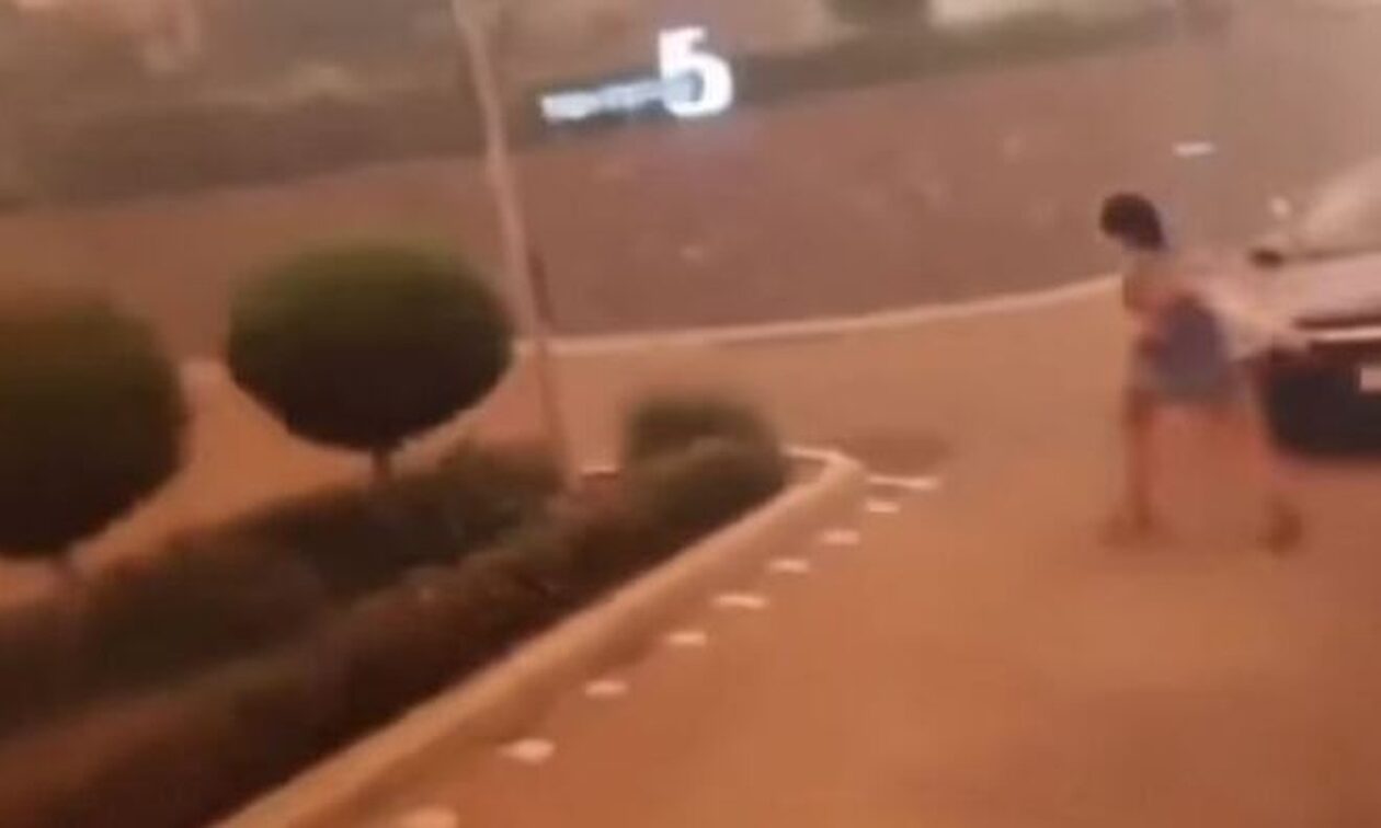 Φωτιά στη Ρόδο: Δραματική διάσωση τουρίστριας από πυροσβέστη – «Έλα εδώ!», της φώναζε