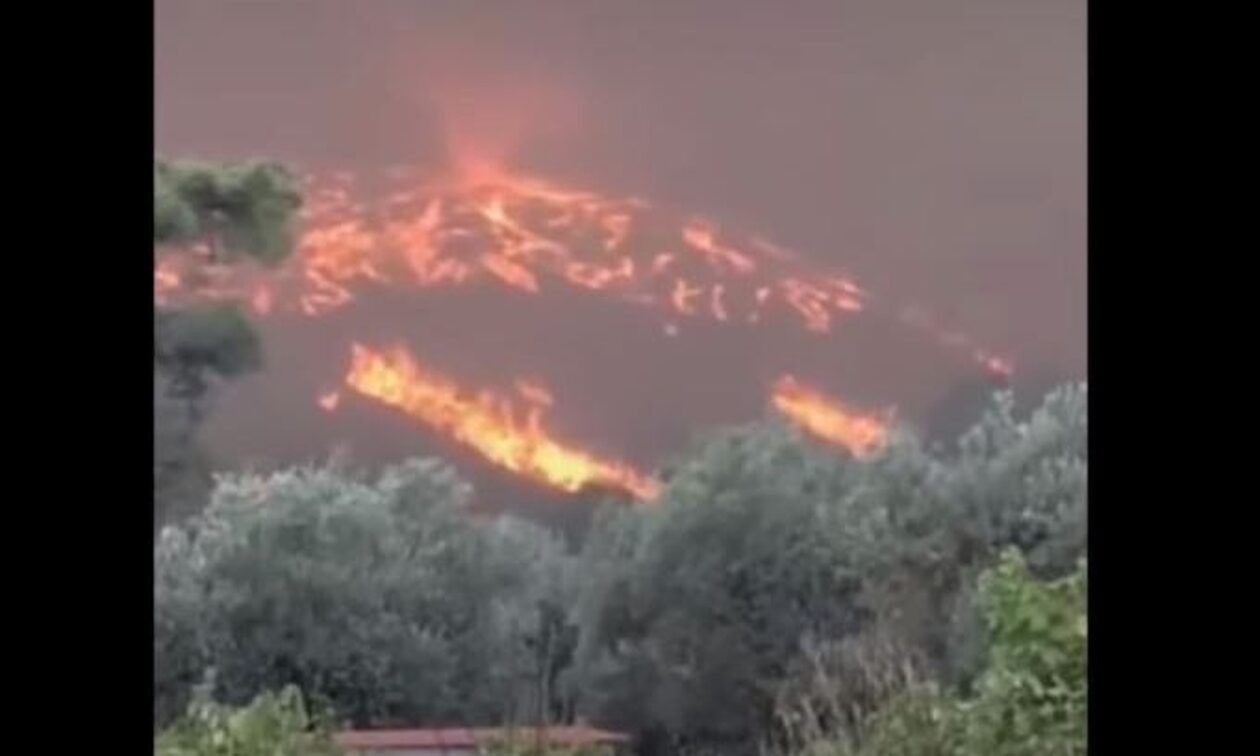 Φωτιά στη Ρόδο: Η πυρκαγιά «εξερράγη» και οι φλόγες δημιούργησαν πυροστρόβιλο – Βίντεο
