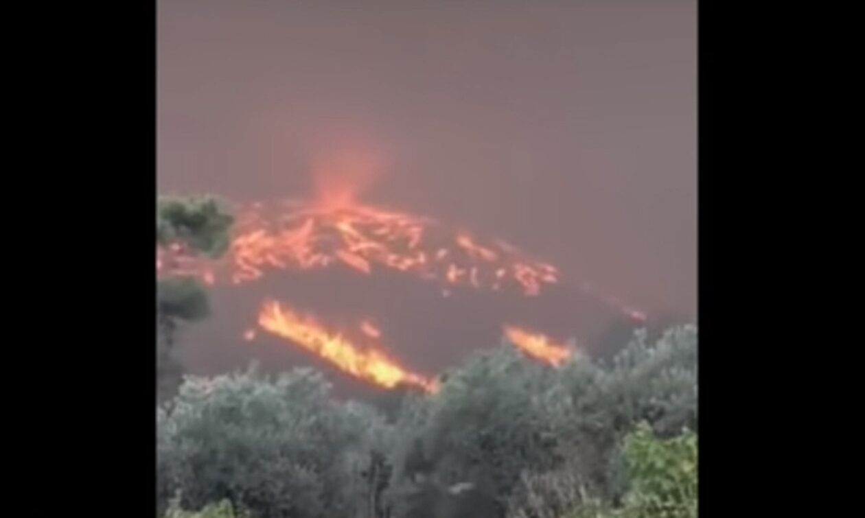 Φωτιά στη Ρόδο: Γιατί έχει ακραία – Ο καταστροφικός ρόλος των πυροστρόβιλων (vid)
