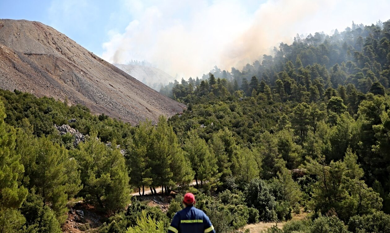 Υψηλός κίνδυνος πυρκαγιάς – Απαγόρευση κυκλοφορίας και παραμονής σε περιοχές NATURA