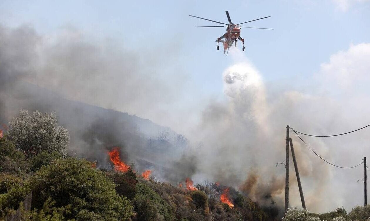 Φωτιά στην Κάρυστο: Ανεξέλεγκτο το μέτωπο προς το Λιβάδι