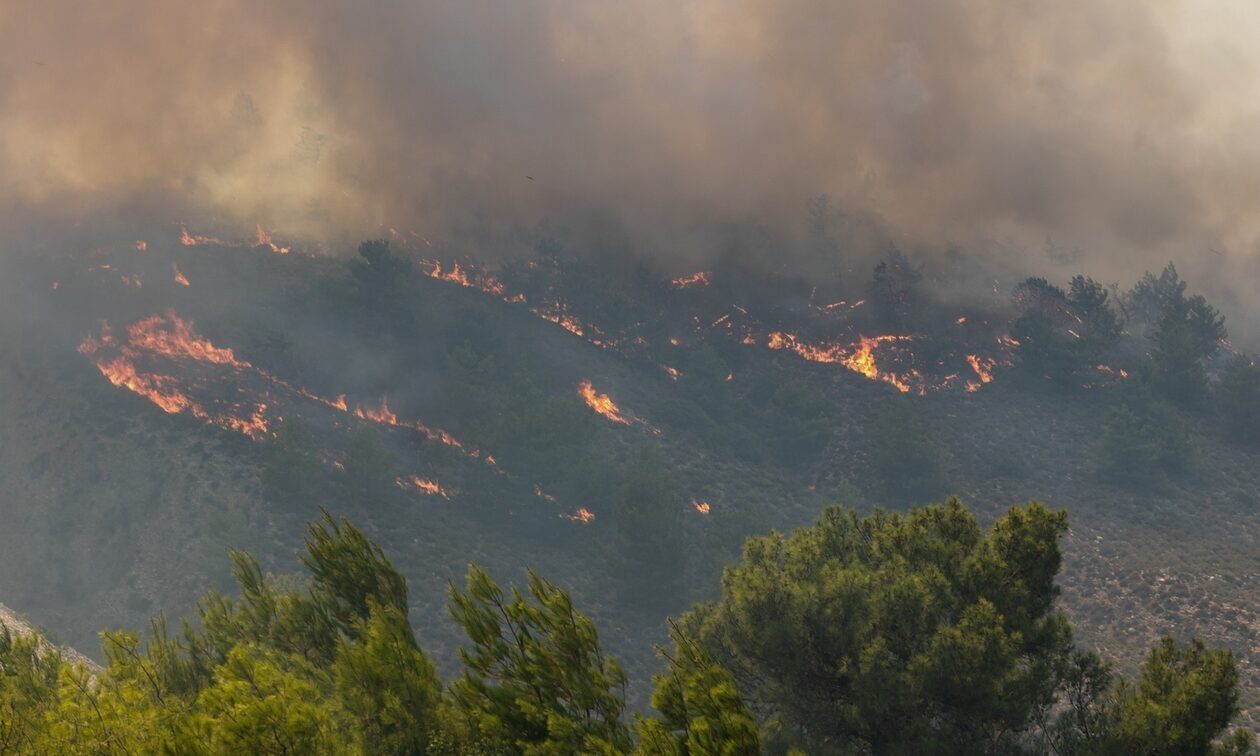 Φωτιά στη Ρόδο: Μήνυση για εμπρησμό θα υποβάλει ο δήμαρχος του νησιού