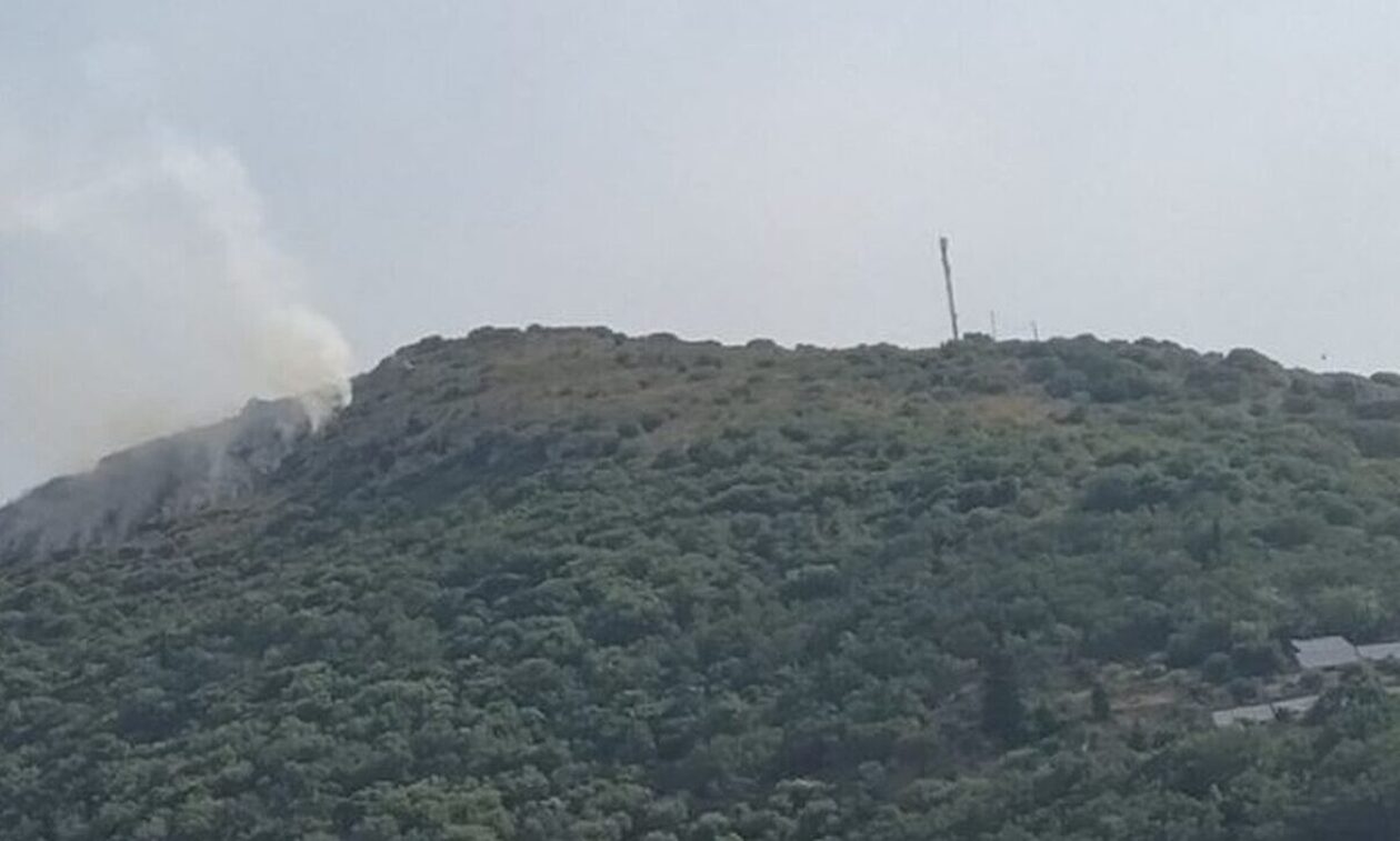 Υπό μερικό έλεγχο η φωτιά στα Βίταλα Ευβοίας
