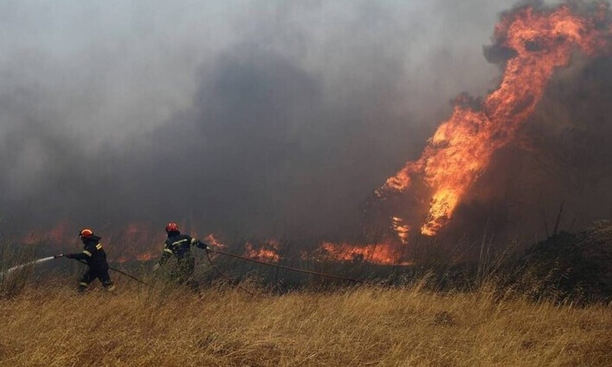 Φωτιά στο Βελεστίνο Μαγνησίας