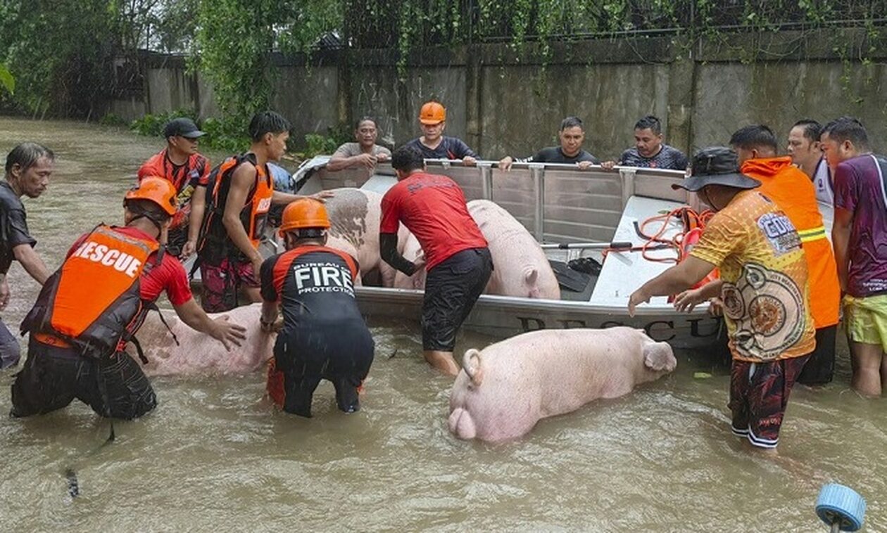 Ο τυφώνας Ντοκσούρι έπληξε τις Φιλιππίνες: Δύο νεκροί, 13.500 άστεγοι και μεγάλες καταστροφές